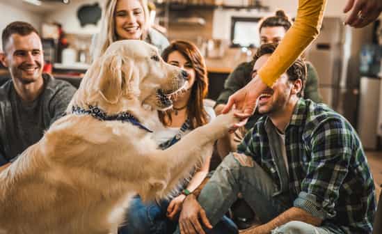 Full-service conciërgediensten