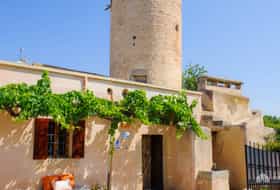 Logement ES-1088863-Cas Concos des Cavaller