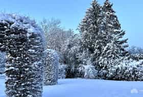 Accommodatie DE-1092249-Riedelberg