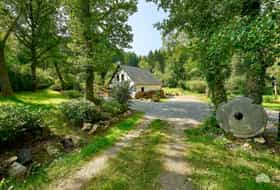 Accommodatie DE-1092326-Hochscheid