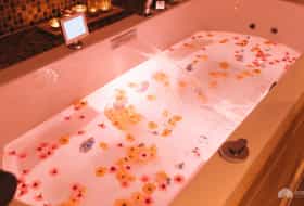 Accommodation BE-1091168-Ieper