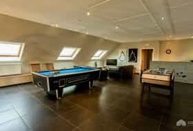 Unterkunft BE-1092562-Sint-Gillis-Waas