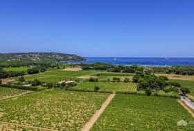 Accommodatie FR-1092678-Ramatuelle