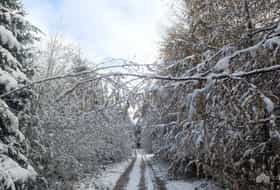 Accommodatie BE-1092019-Sankt-Vith