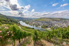 Accommodatie DE-1092619-Bernkastel-Kues