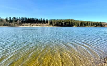 Imagen de 🥾 Laurent &amp; Julie on Tour: Aventura de senderismo en las Ardenas belgas - &quot;Naturaleza en estado puro en el lago de Bütgenbach&quot;