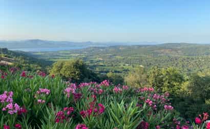 Imagen de Mi ruta del vino por Francia: Descubrimientos en la Provenza