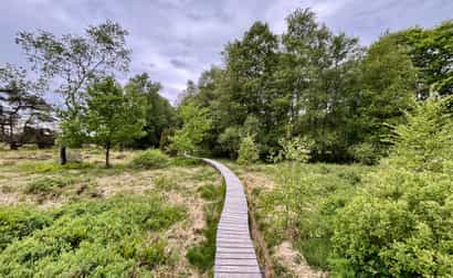 Imagen de 🥾 Laurent &amp; Julie on Tour: «Encantadora ruta por las Ardenas: de Spa al pantano de Malchamps»