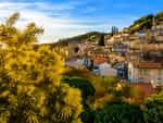 Panoramablick auf Bormes-les-Mimosas mit blühenden Mimosen an der Côte d’Azur