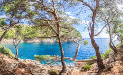 Panoramablick auf die Bucht von Cala Murta auf Mallorca, aufgenommen aus dem Gebüsch