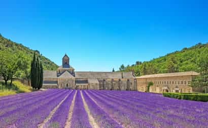Abbaye de Sénanque bei Gordes mit Lavendelfeld im Vordergrund in der Provence