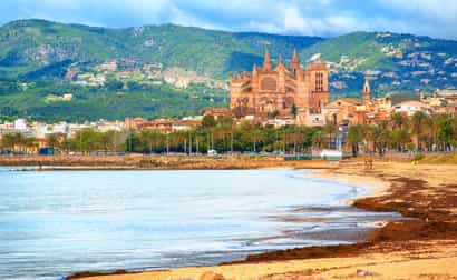Horizontale Ansicht der Kathedrale von Palma mit Palmen, Stadt und Bergen im Hintergrund