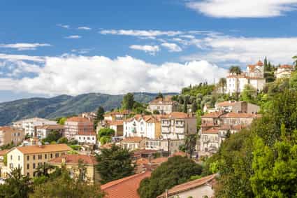 Une image de Typiquement provençal : ce qui caractérise vraiment la région