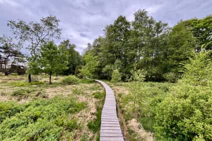 Une image de 🥾 Laurent &amp; Julie on Tour: « Circuit enchanteur des Ardennes : de Spa à la Fagne de Malchamps »