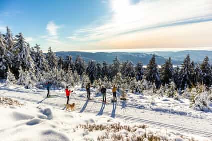 Post Diversión invernal en las Ardenas belgas: esquí de fondo, senderismo de invierno y encantadores mercados navideños
