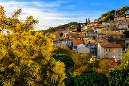Panoramablick auf Bormes-les-Mimosas mit blühenden Mimosen an der Côte d’Azur