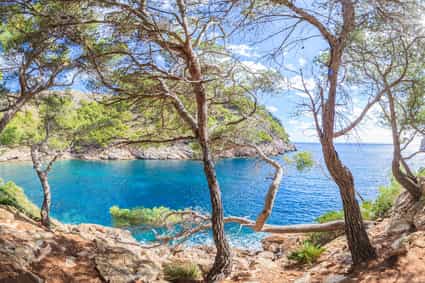 Panoramablick auf die Bucht von Cala Murta auf Mallorca, aufgenommen aus dem Gebüsch