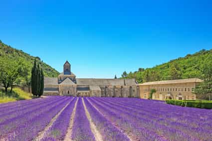 Abbaye de Sénanque bei Gordes mit Lavendelfeld im Vordergrund in der Provence
