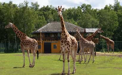 Safari Park Monde Sauvage