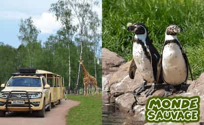 Safari Parc Monde Sauvage