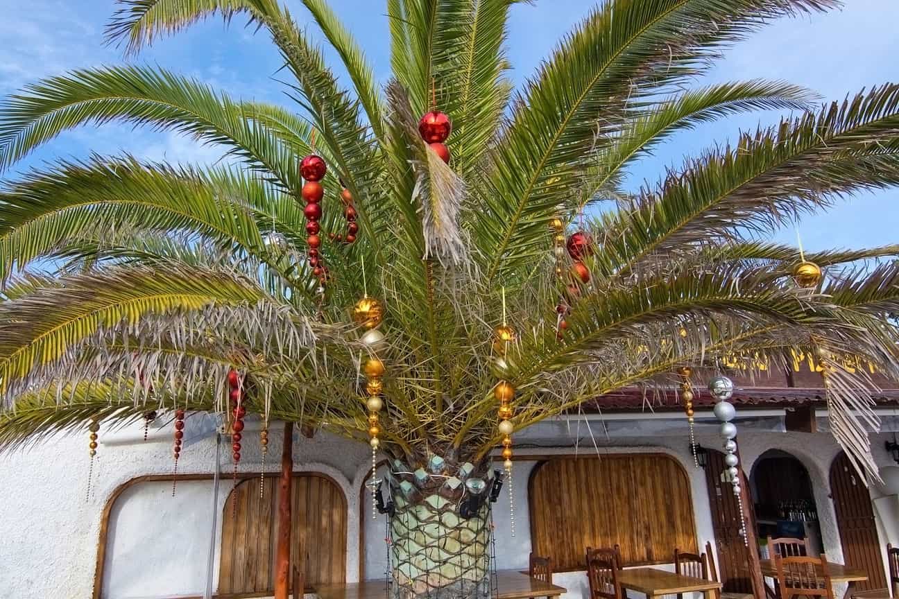 Weihnachten Mal anders - mit Casapilot