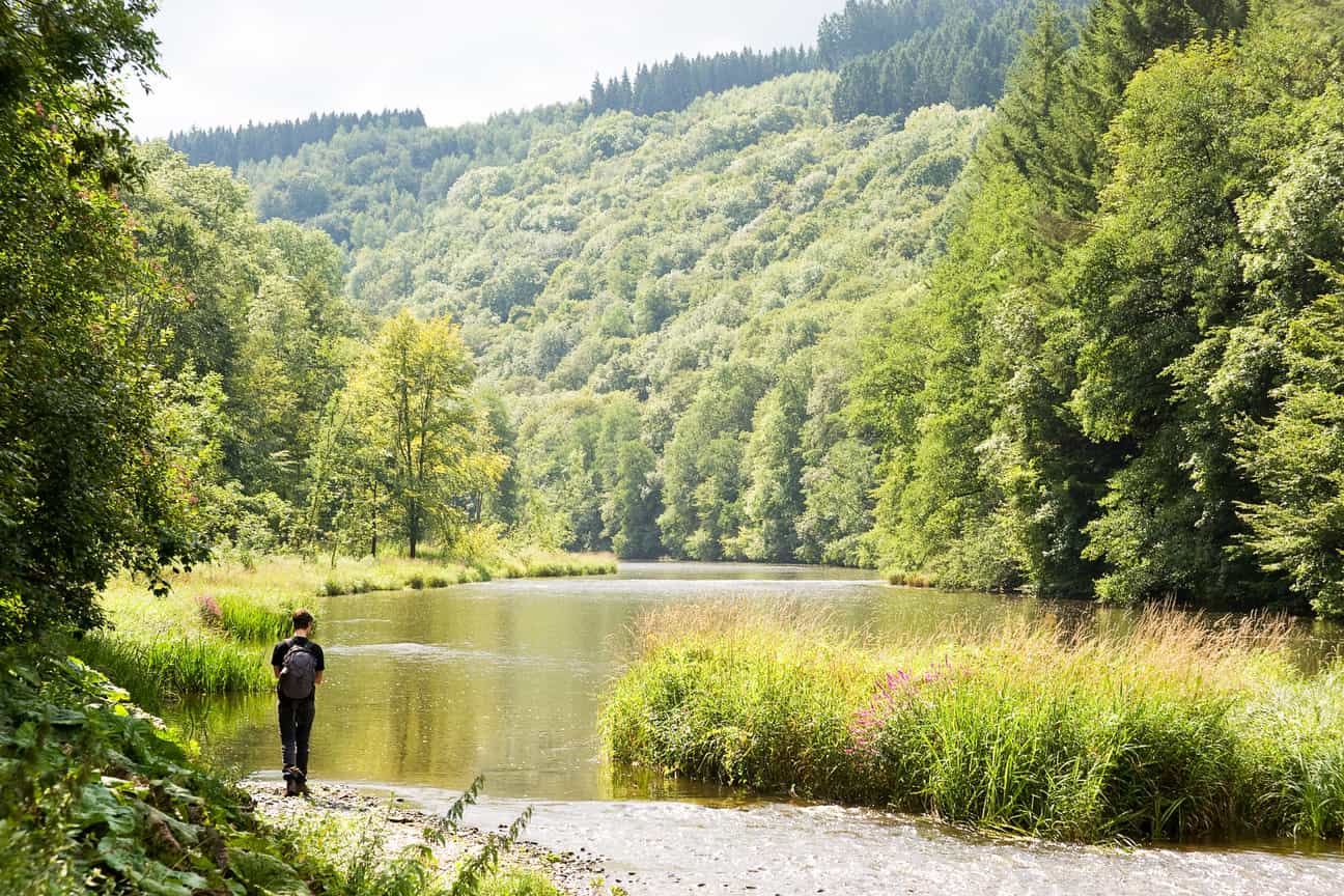 Fluss in den Ardennen mit Waldlandschaft, ideal für einen Spaziergang in der Natur