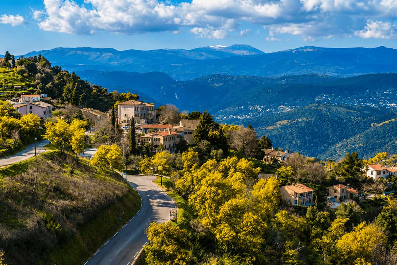 Blick über den blühenden Mimosenwald von Tanneron mit Aussicht auf das Esterel-Gebirge und die Côte d’Azur