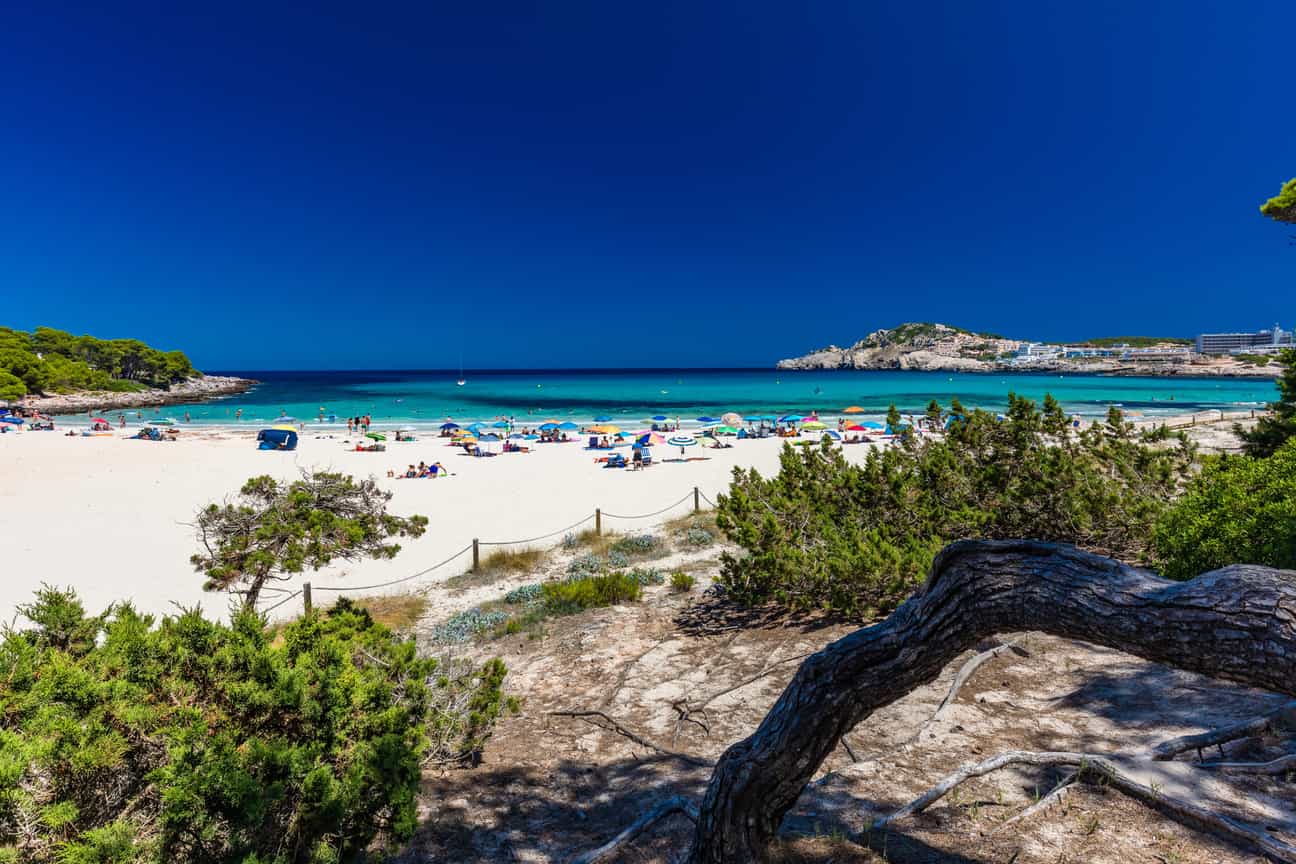 Strand Cala Agulla auf Mallorca mit feinem Sand und klarem Wasser