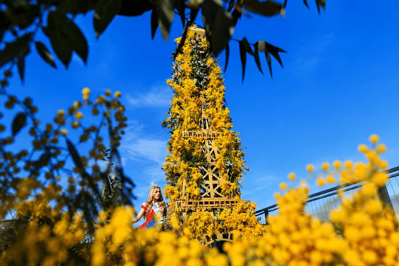 Blumenkorso beim Fête du Mimosa in Mandelieu-La Napoule mit festlich geschmücktem Festwagen