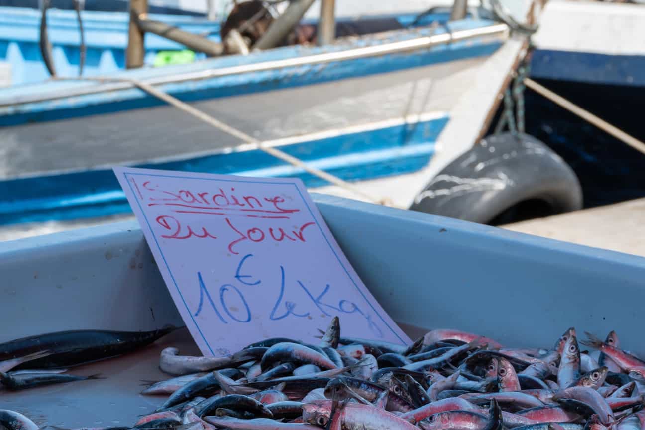 Auslage mit frischem Fisch und Meeresfrüchten auf dem täglichen Fischmarkt im alten Hafen von Marseille – Sardinen und andere Spezialitäten aus der Provence
