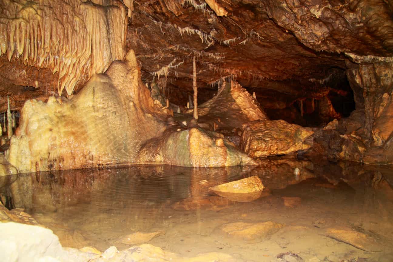 Blick in die Grottes de Hotton in Belgien, mit Tropfsteinformationen und etwas Wasser am Höhlenboden