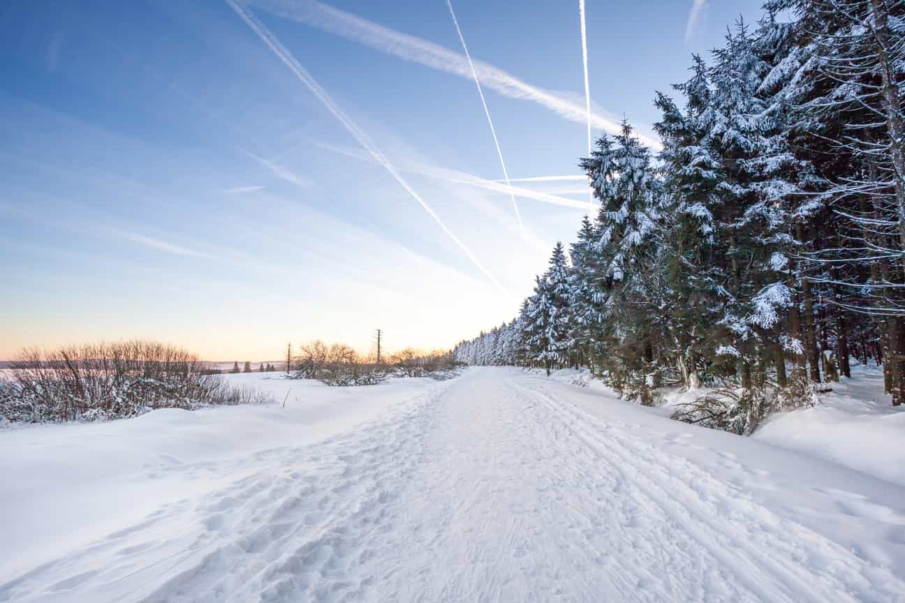 Winterlandschaft im Hohen Venn mit verschneitem Feld links und Nadelbäumen rechts