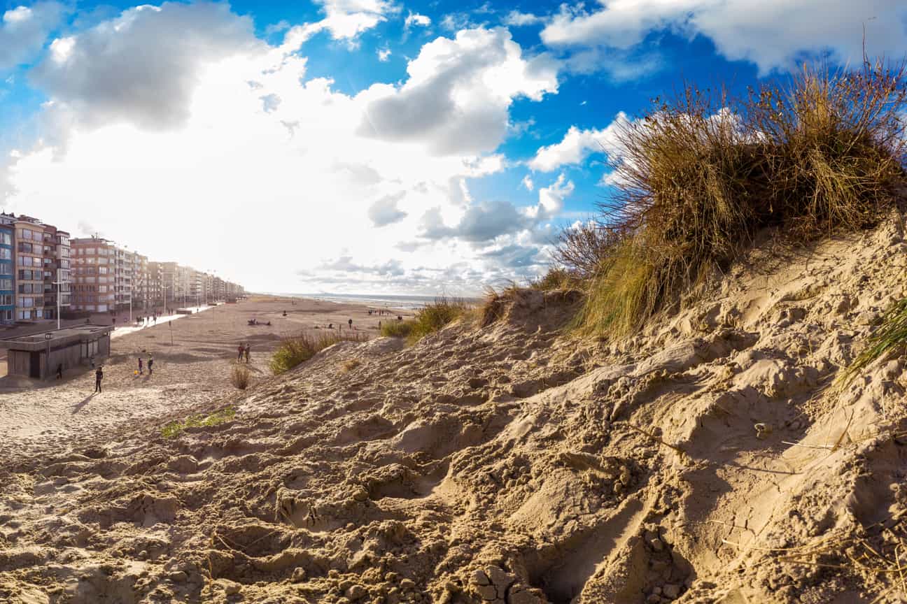 Hochwinkelaufnahme von Dünen mit Strandhafer in Koksijde an der belgischen Küste im Herbst