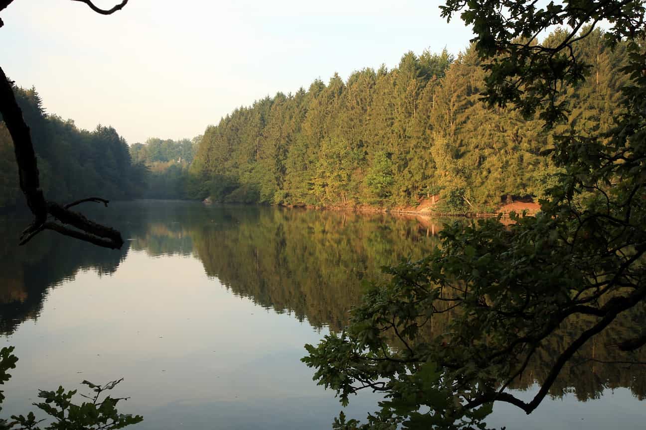 Lac de Robertville in Belgien mit ruhigem Wasser und stimmungsvollem Licht