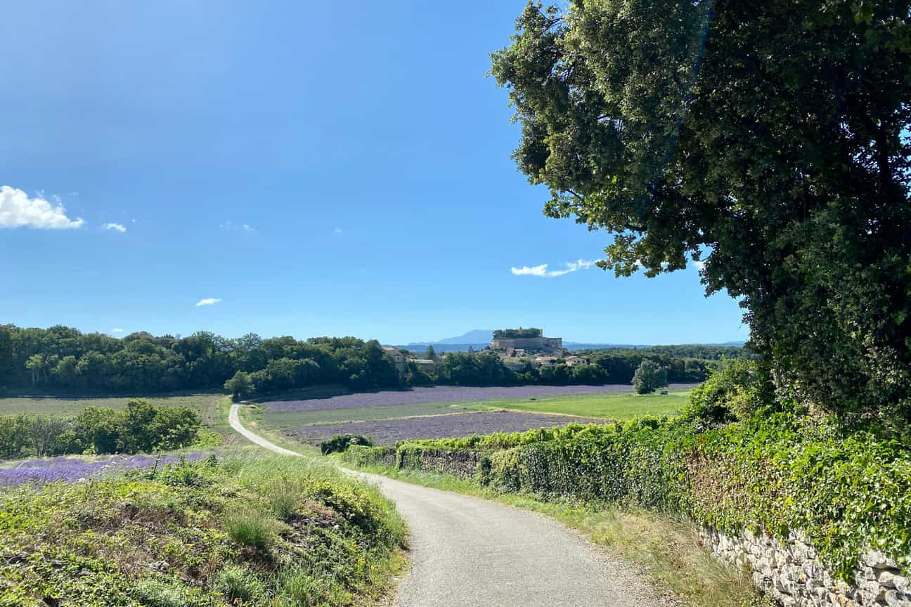 Feldweg zwischen Lavendelfeldern mit Blick auf das malerische Dorf Grignan in der Provence