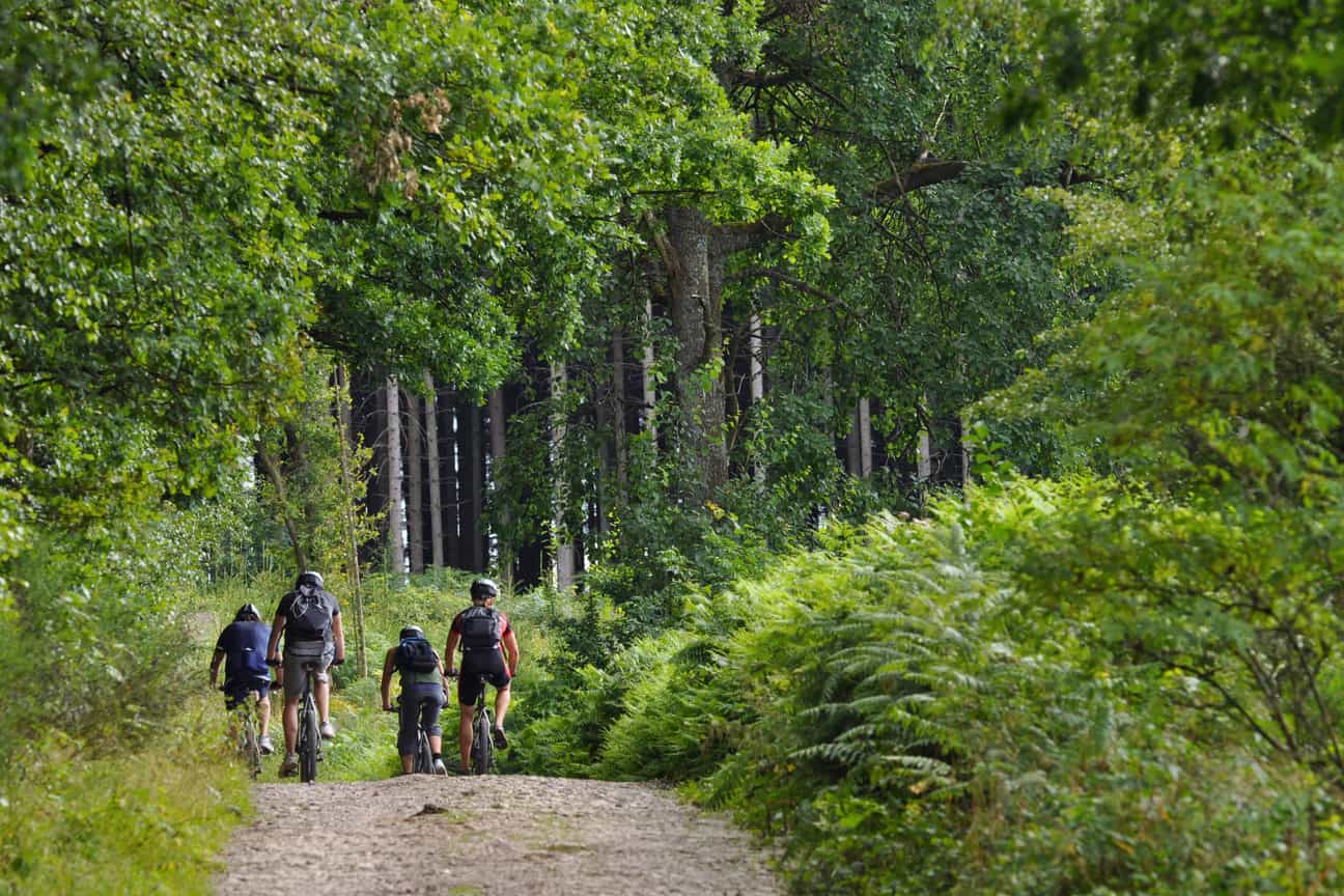 Mountainbiker fährt durch einen Waldweg in den Ardennen