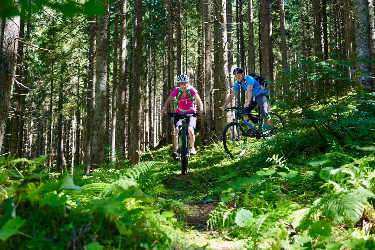Zwei Mountainbiker auf einem Waldweg bei Houffalize in den Ardennen