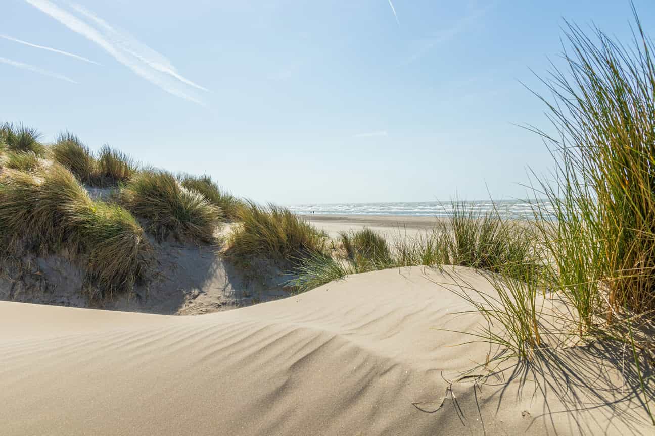 Dünen von Oostduinkerke mit Blick auf das Meer, natürliche Landschaft an der belgischen Nordseeküste