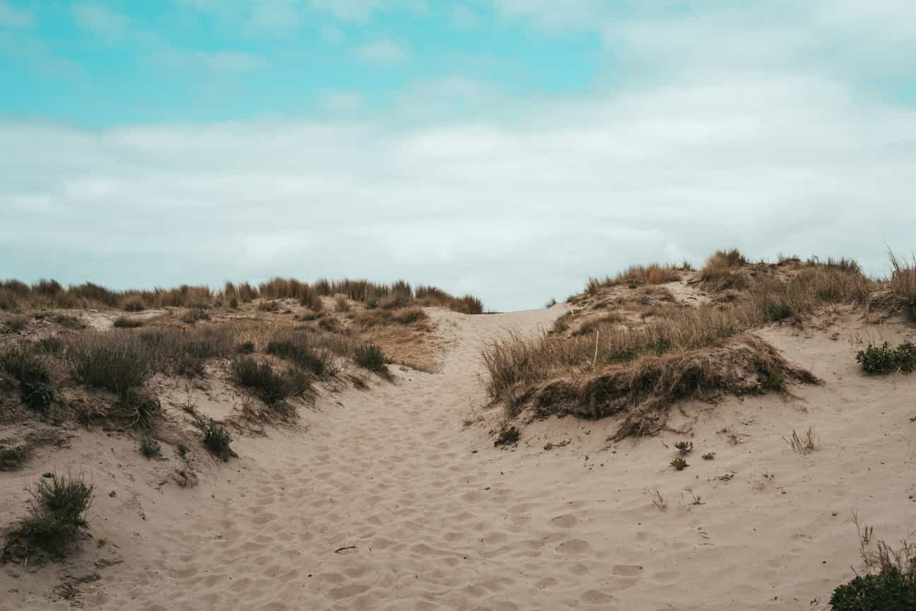 Ein schmaler Pfad schlängelt sich durch die sandigen Dünen von Oostduinkerke