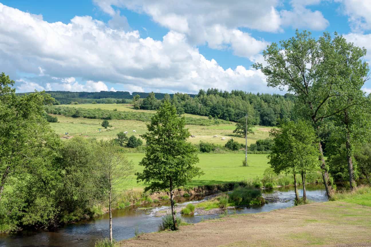 Ourthe Occidentale in der sommerlichen Landschaft der belgischen Ardennen zwischen Bastogne und Saint-Hubert