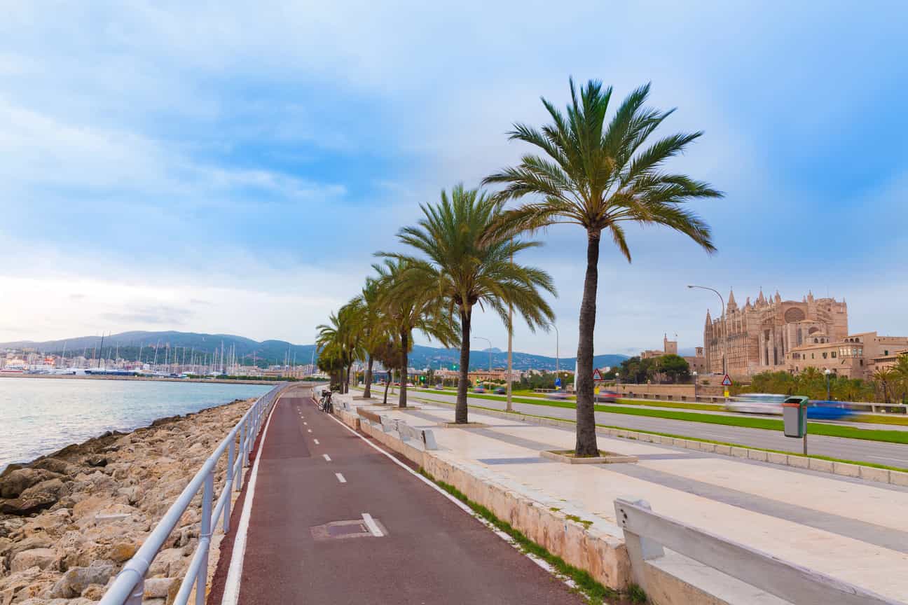 Hafen von Palma de Mallorca bei Sonnenuntergang mit Booten und Abendstimmung