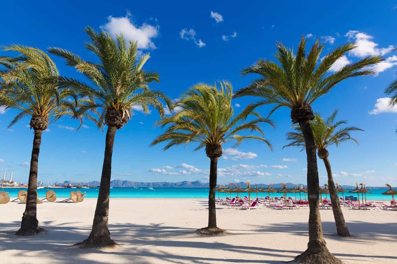 Platja d’Alcúdia auf Mallorca mit Palmen, Sandstrand und Blick auf das Mittelmeer