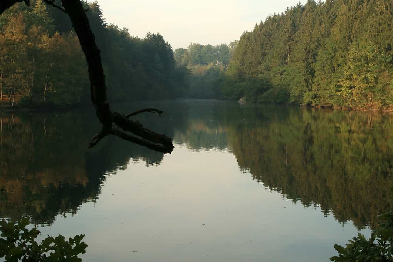 Hochformat-Aufnahme des Sees von Robertville mit Wasser, bewaldeten Ufern und ruhiger Naturkulisse
