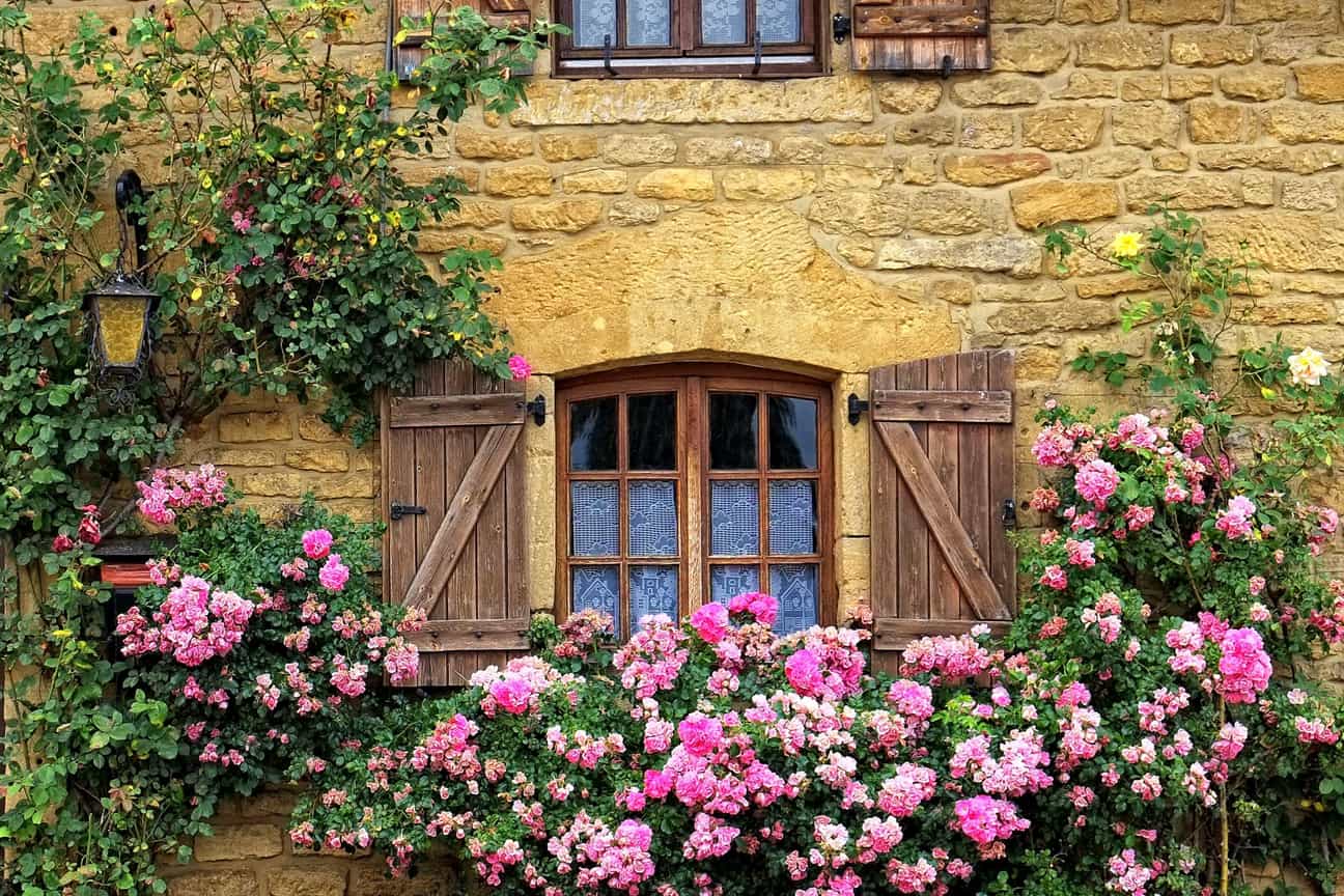 Ockerfarbene Hausfassade in Torgny, dekoriert mit grünen Wandpflanzen, typisch für die malerischen Dörfer der Region
