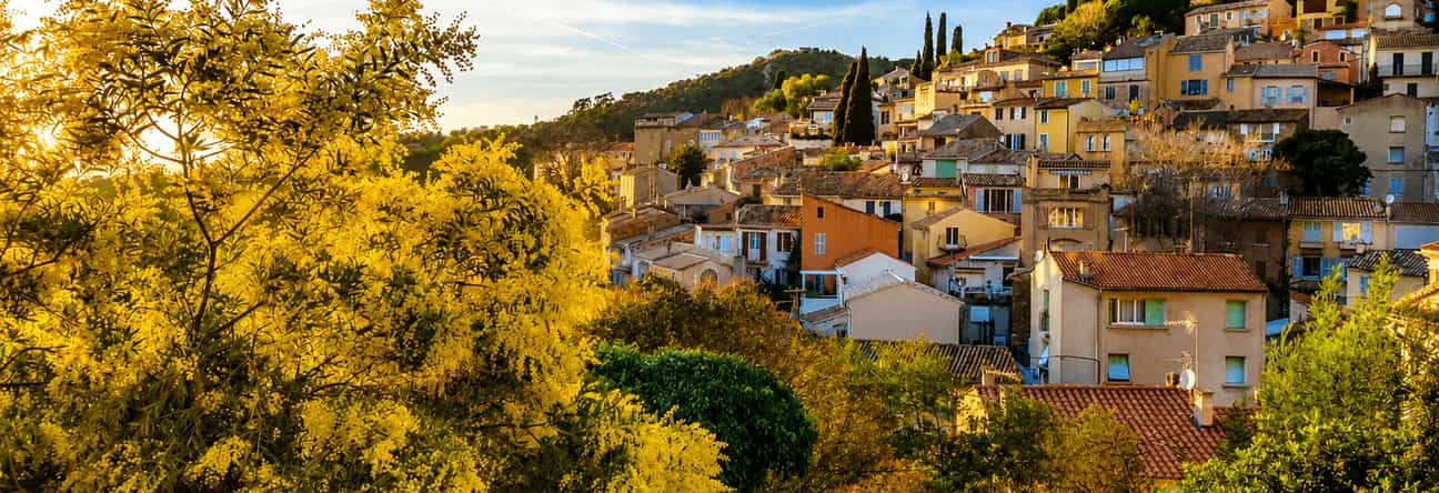 Panoramablick auf Bormes-les-Mimosas mit blühenden Mimosen an der Côte d’Azur
