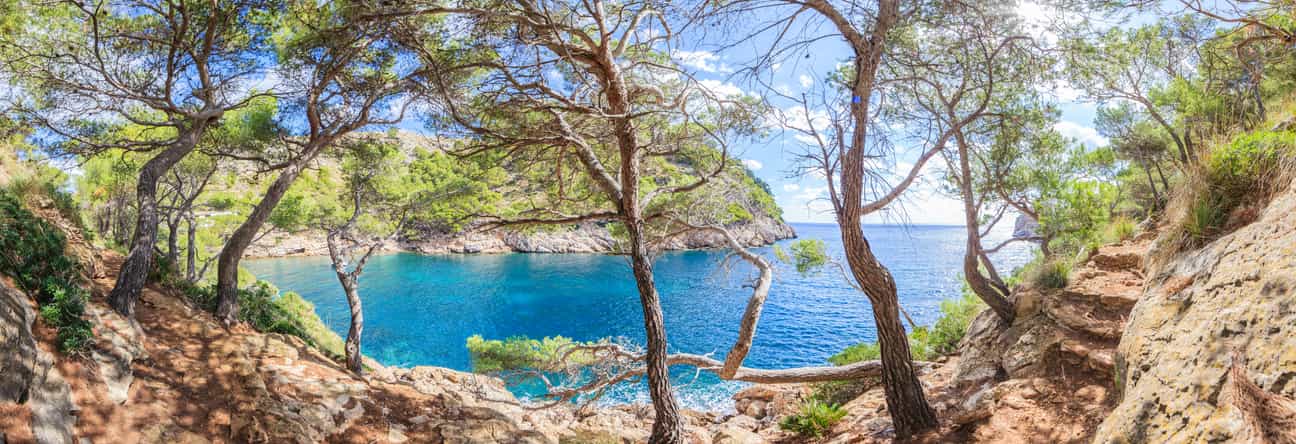 Panoramablick auf die Bucht von Cala Murta auf Mallorca, aufgenommen aus dem Gebüsch