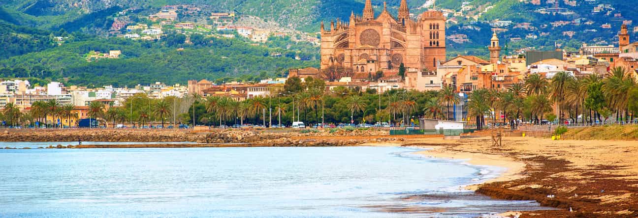 Horizontale Ansicht der Kathedrale von Palma mit Palmen, Stadt und Bergen im Hintergrund